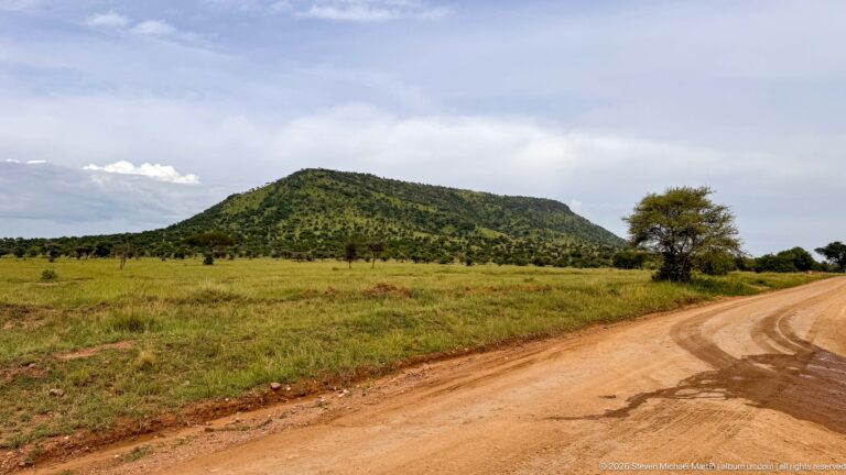 Low wooded hill rising above open Serengeti grassland beside a curving dirt road under a cloudy sky.