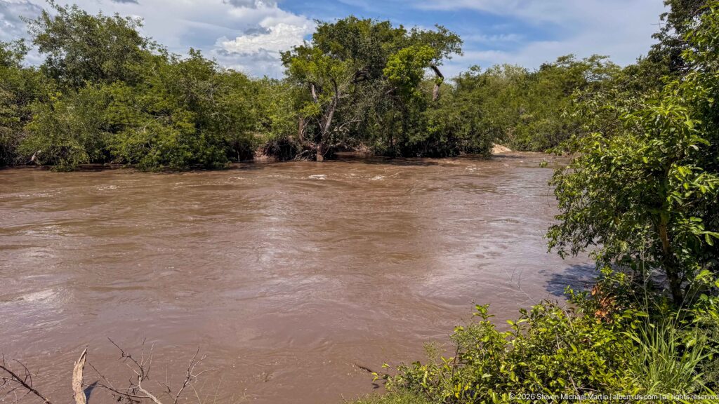 Wide muddy river flowing between dense green banks, with foreground shrubs and a partly cloudy blue sky.