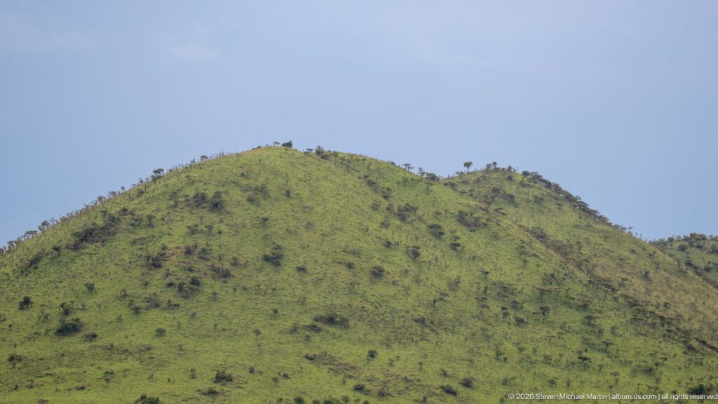 Rounded green hill dotted with scattered shrubs and small trees beneath a clear blue-gray sky.