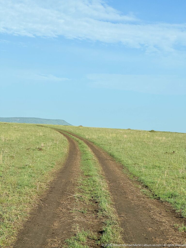 Two-track dirt road curving through open green Serengeti grassland beneath a broad blue sky.