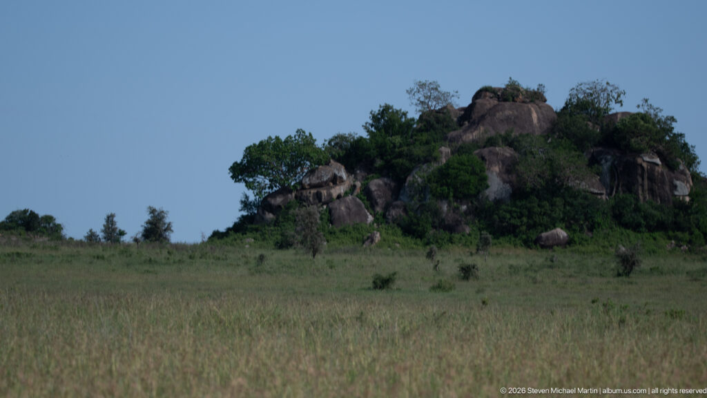 Rounded granite kopje covered with shrubs and small trees rising from open Serengeti grassland.