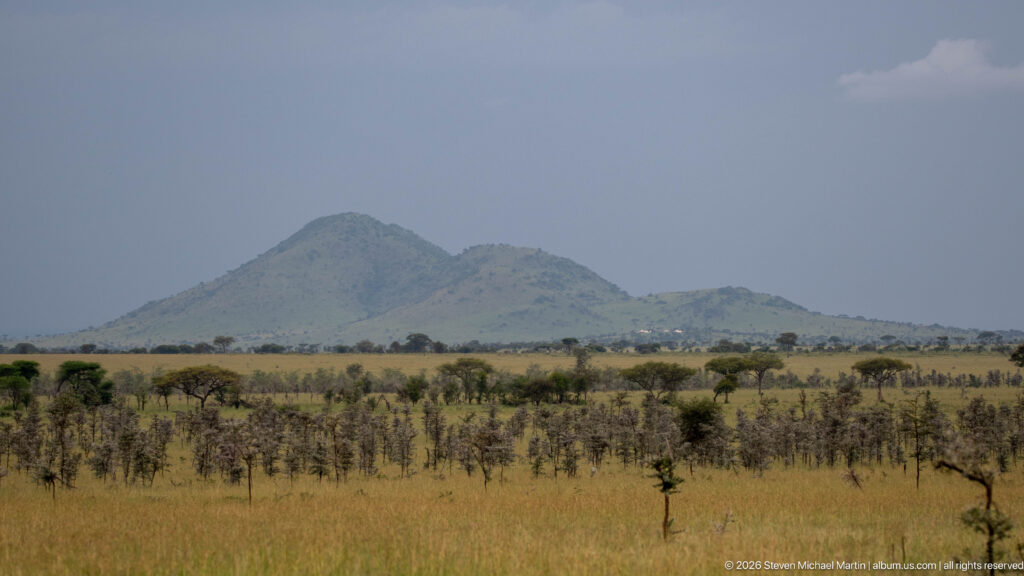 Low twin-peaked hill beyond open Serengeti grassland with scattered trees under a hazy gray-blue sky.