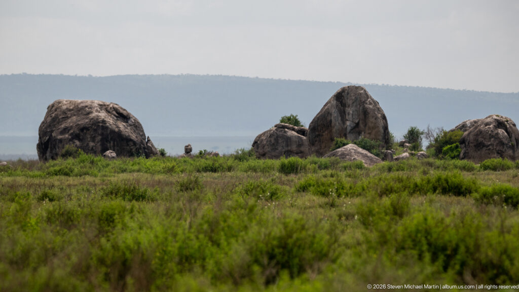Several rounded granite kopjes rising from green plain with a hazy ridge or escarpment in the distance.