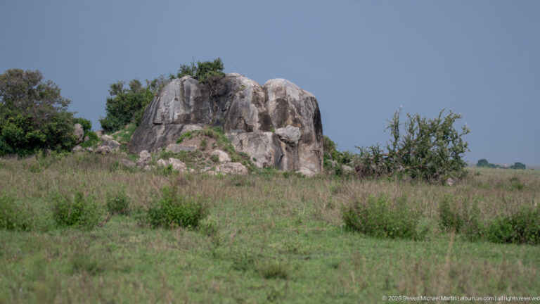 Isolated rounded granite kopje rising from tall grass with shrubs and a small tree at its base.