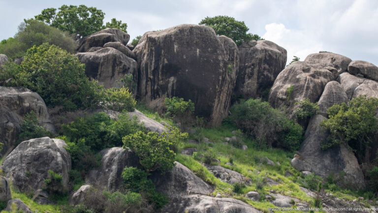 Large rounded granite boulders forming a wooded kopje, with dark weathering streaks and shrubs between the rocks.