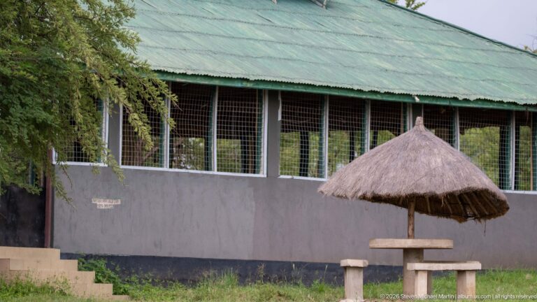 Green-roofed lodge building with screened openings, steps, a thatched sunshade, and concrete bench.