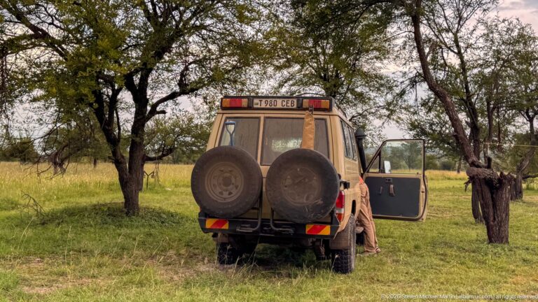 Rear view of a parked safari four-wheel-drive with two spare tires and an open door beneath trees.