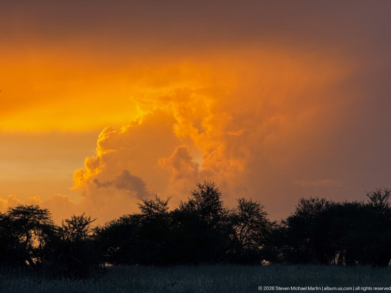 Orange sunset and glowing storm clouds above a dark line of trees and grasses in the Serengeti.