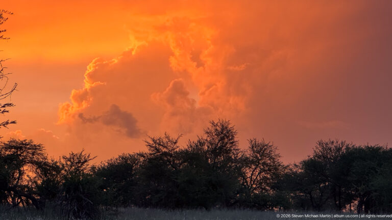 Brilliant orange sunset clouds glowing above a dark silhouette of savanna trees along the Serengeti horizon.
