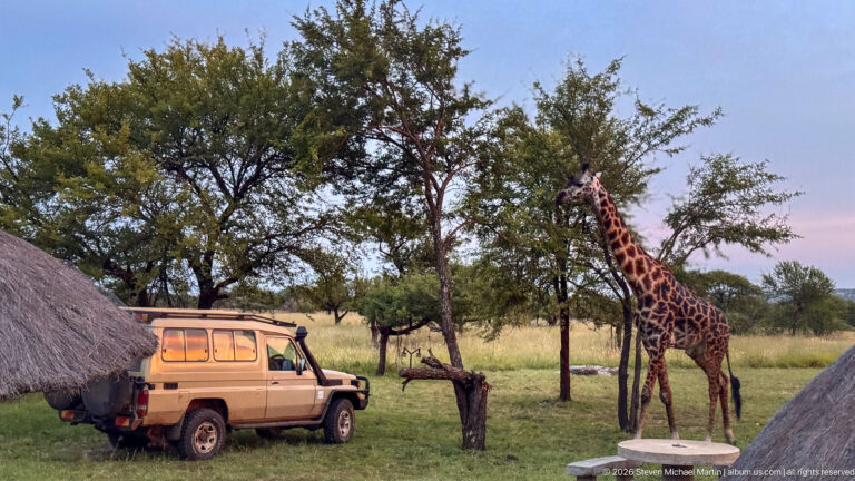 Full-length giraffe standing beside a tan safari vehicle between trees and thatched camp structures.