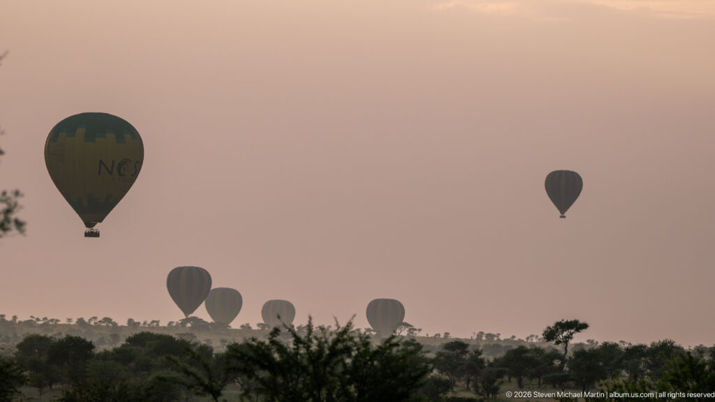 Several hot-air balloons at varying distances above a dark Serengeti tree line beneath a muted pink-gray sky.