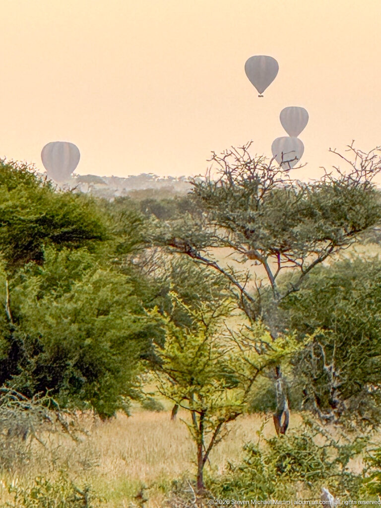 Several distant hot-air balloons above dense thorny woodland, partly screened by a broad foreground tree.