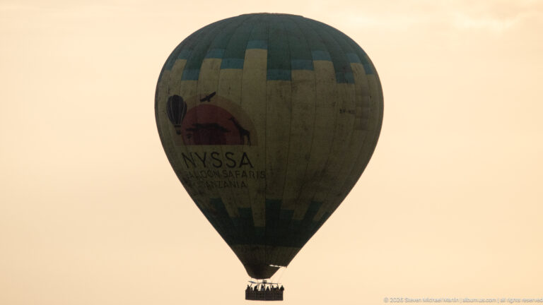 Nyssa Balloon Safaris hot-air balloon suspended against a pale warm sky with a small passenger basket below.