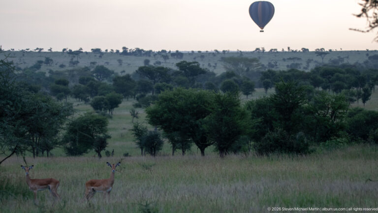 Two impalas standing in tall grass among scattered trees with a distant hot-air balloon above the horizon.