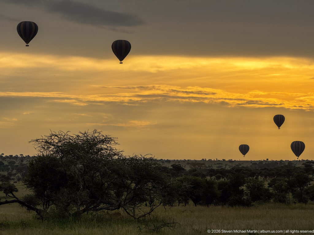 Four hot-air balloons silhouetted against a golden dawn sky above dark thorn trees and Serengeti woodland.