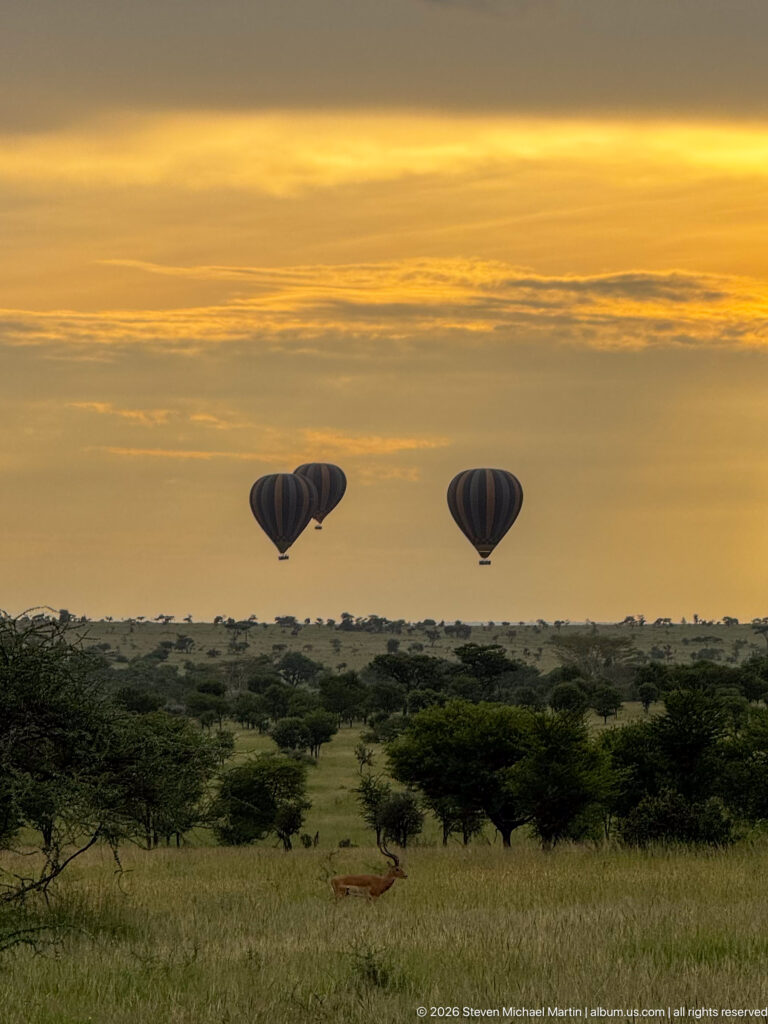Two hot-air balloons low over golden Serengeti grassland with scattered trees and small antelope in the foreground.