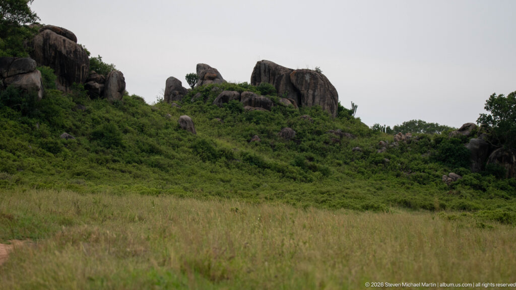 Dark weathered boulders along a low green ridge beyond tall open grass at Simba Kopjes.