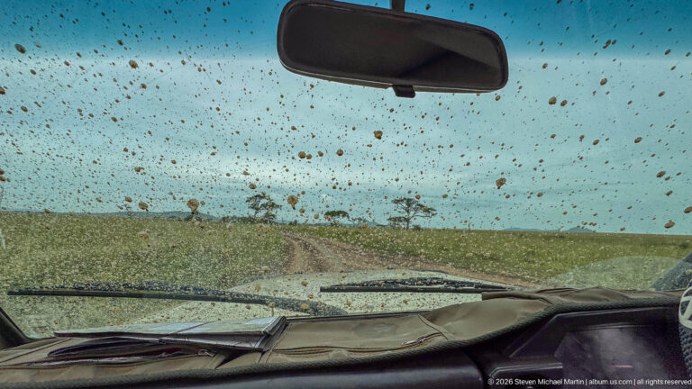 View through a mud-spattered safari windshield toward a wet rutted track across open Serengeti grassland.