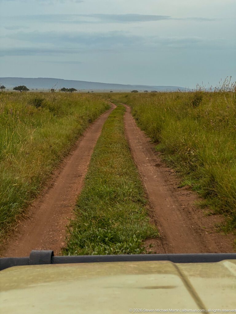 Twin dirt wheel tracks with a grassy center cross open green plains toward a hazy distant horizon.