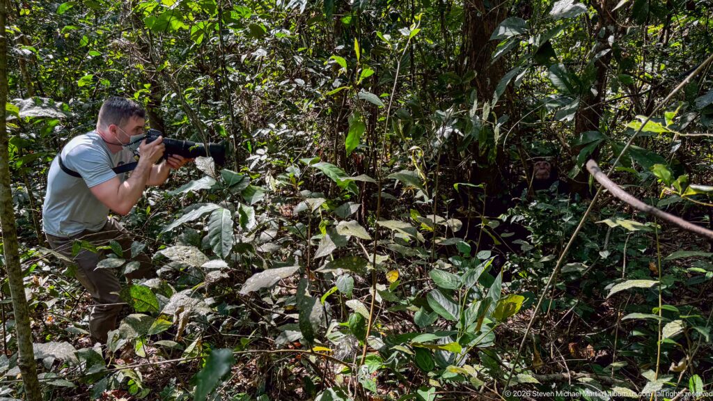 Crouching photographer aims a long telephoto lens through dense green understory and tangled forest stems.