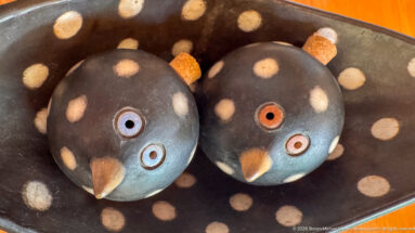 Two spotted, bird-shaped condiment vessels with small beaks resting on a matching dark tray.