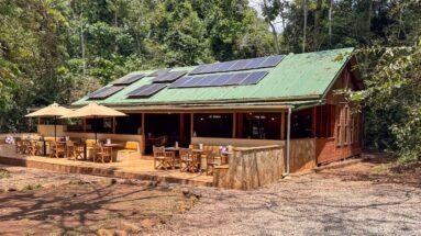 Timber forest lodge with open dining terrace, green roof, umbrellas, and rooftop solar panels.