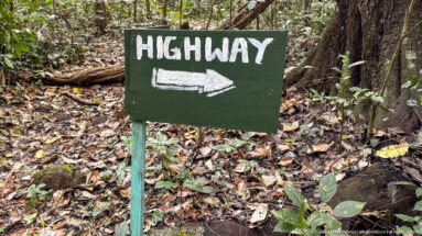 Green hand-painted forest sign reading 'HIGHWAY' with a white arrow pointing right.