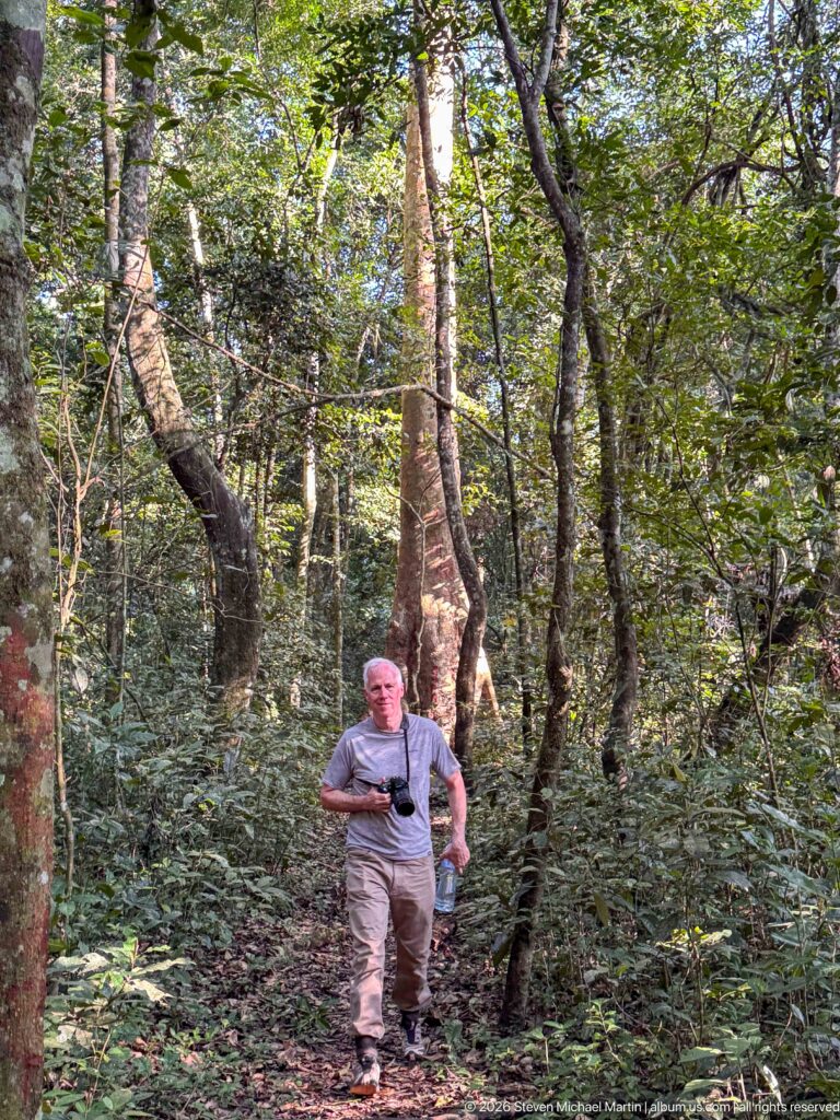Visitor carrying a camera walks on a narrow forest trail beneath tall trunks and dense understory.
