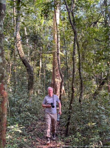 Visitor carrying a camera walks on a narrow forest trail beneath tall trunks and dense understory.
