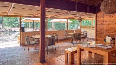 Covered wooden dining terrace with round tables, woven chairs, hanging lamps, and forest visible outside.