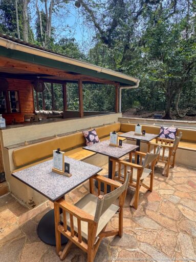 Open-air forest lodge terrace with wooden tables, chairs, cushioned benches, and a green roof.