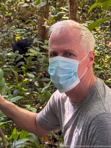 Masked visitor in foreground with an eastern chimpanzee partly visible through dense vegetation behind him.