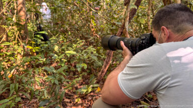 Crouching photographer aims a large telephoto lens into dense forest understory beside leaf-covered ground.