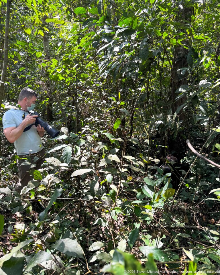 Photographer holding a long-lens camera while standing in dense green understory and tangled forest stems.