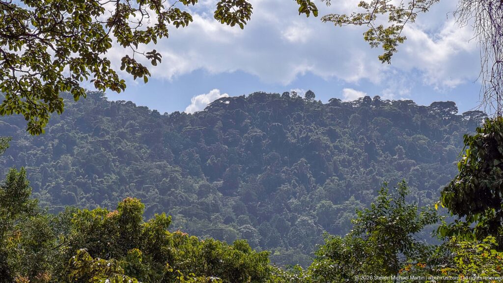 Steep mountain ridge covered in dense green forest beneath a partly cloudy sky in the Bwindi landscape.