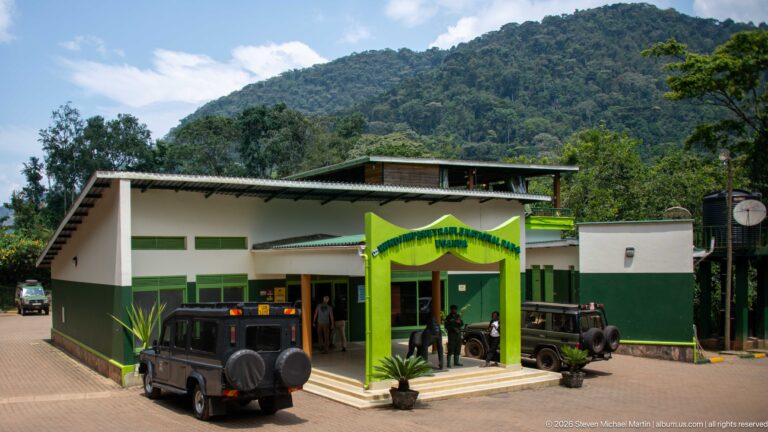 Green-and-white park facility with safari vehicles and visitors in front of densely forested mountain slopes at Bwindi.