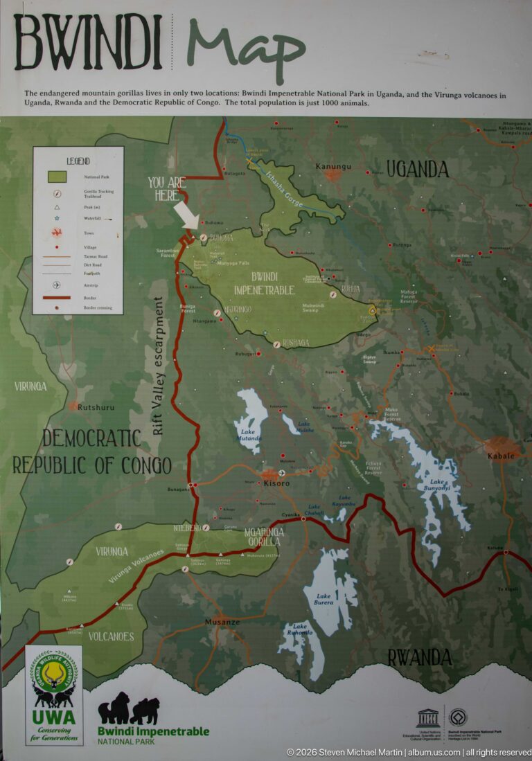 Regional map showing Bwindi in southwestern Uganda beside Rwanda and the Democratic Republic of Congo, with roads and lakes.