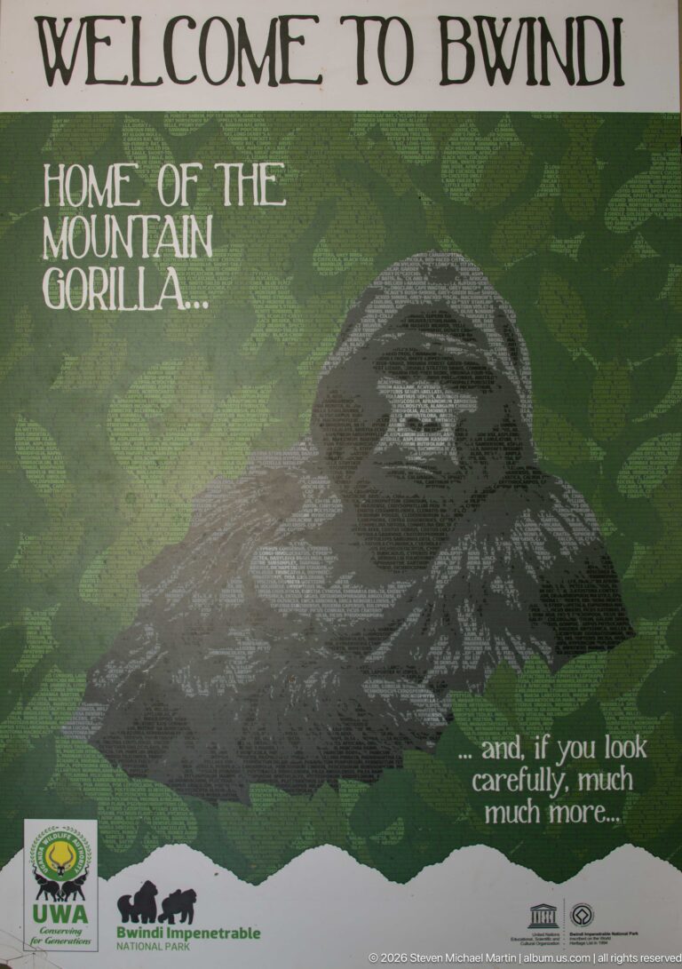 Welcome to Bwindi display with a large mountain gorilla portrait and the words Home of the Mountain Gorilla.