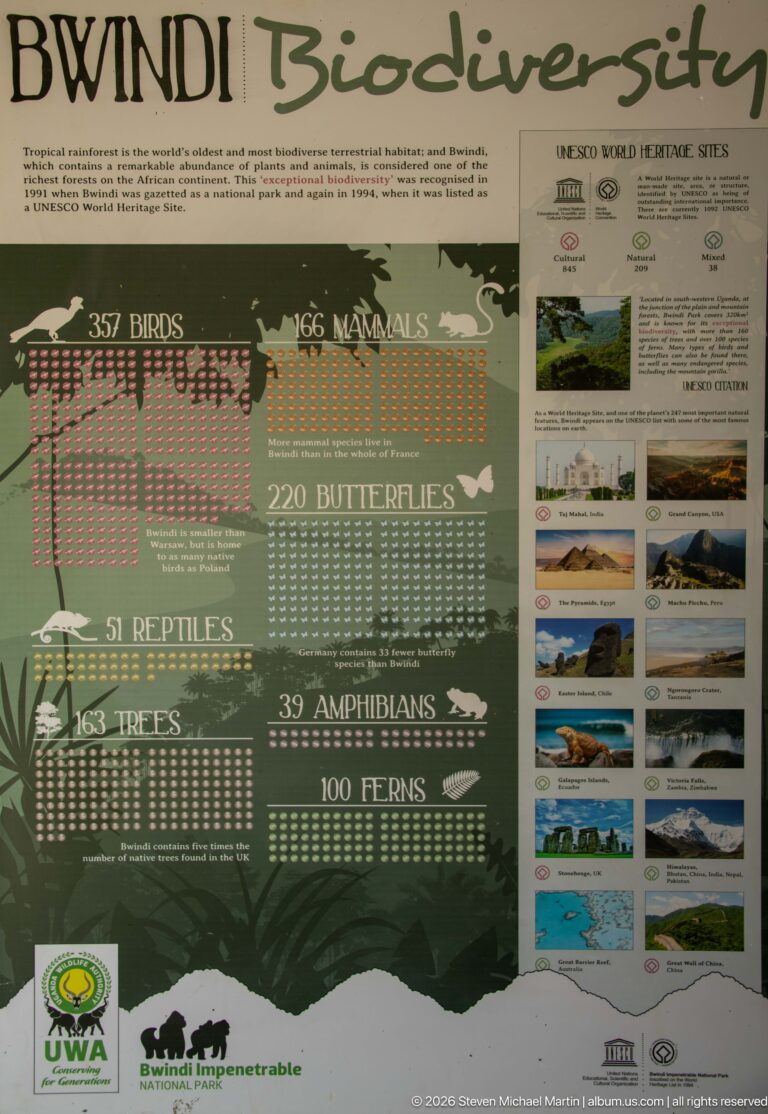 Bwindi biodiversity panel listing counts for birds, mammals, butterflies, reptiles, trees, amphibians and ferns beside UNESCO information.