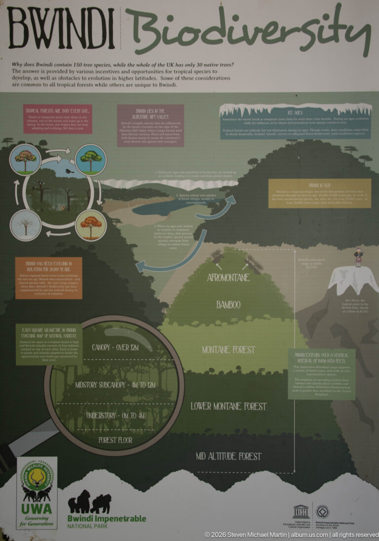 Bwindi Biodiversity panel with mountain profile, forest-zone cross-section and diagrams explaining habitats across elevation.