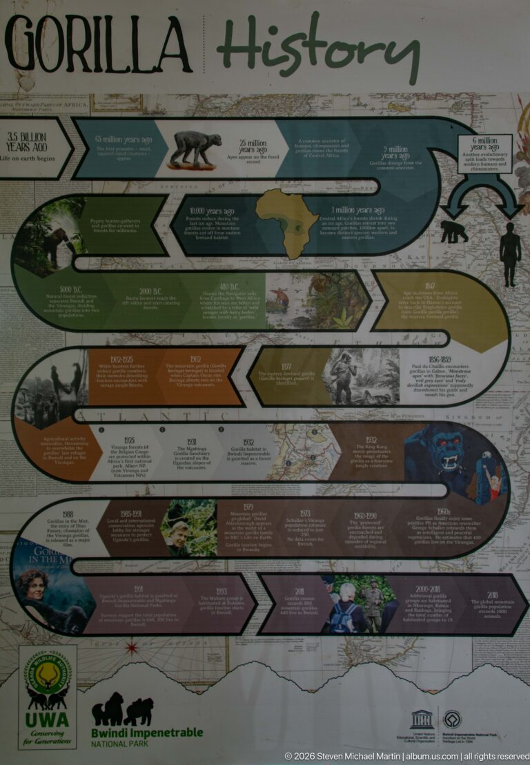 Bwindi History interpretive panel arranged as a multi-level timeline with maps, archival images, wildlife and human figures.