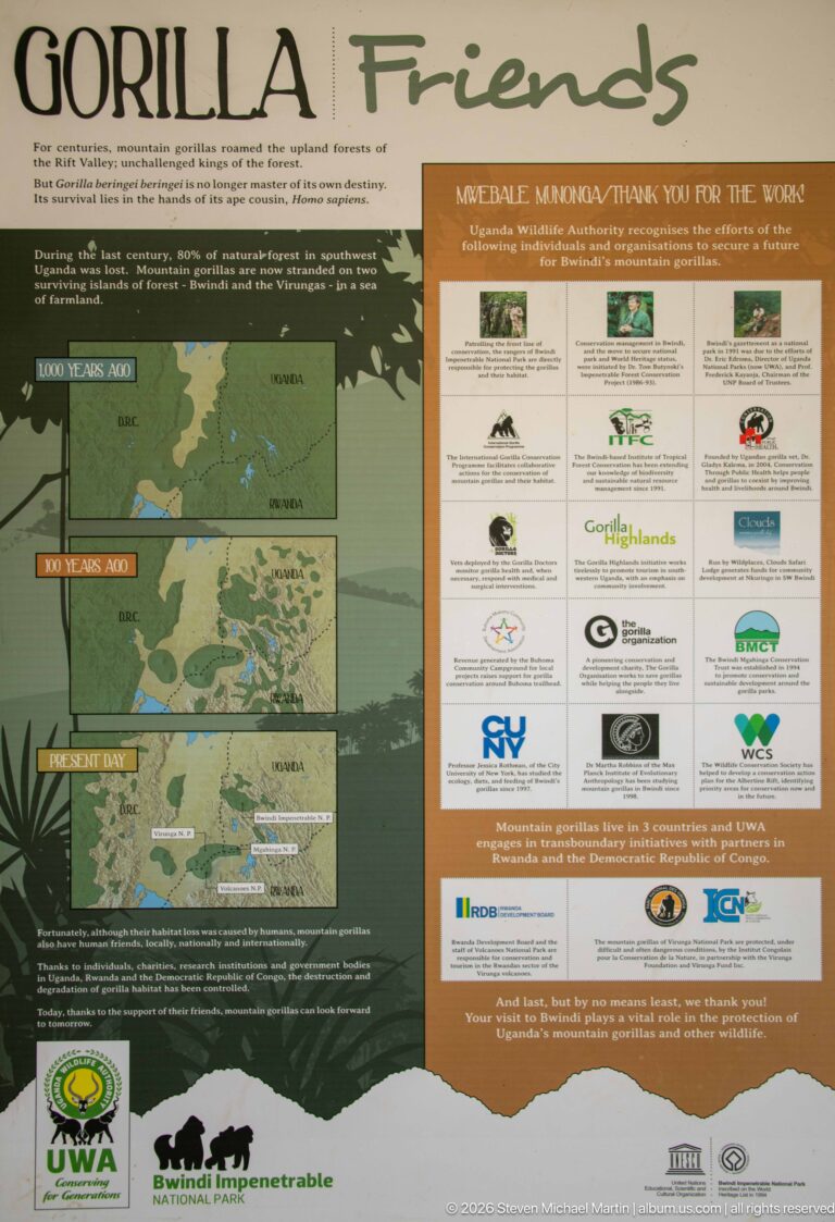 Bwindi Friends interpretive panel with regional maps and a central grid of conservation partner logos.