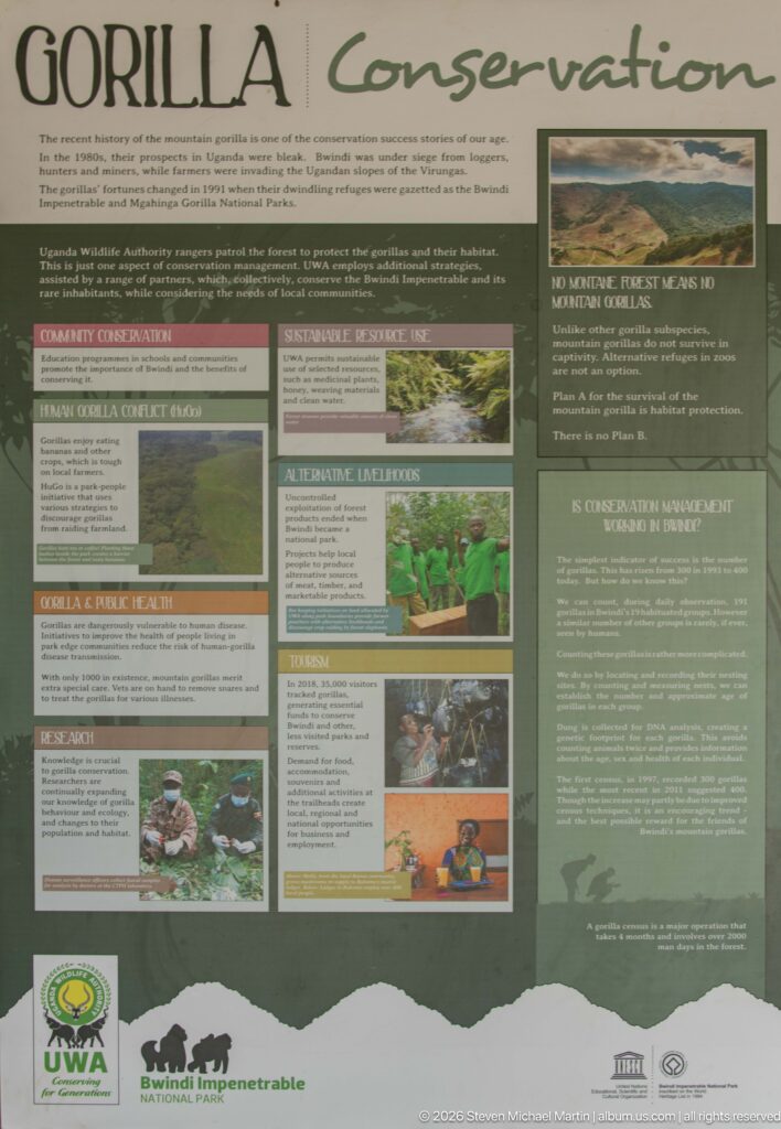 Dark green Bwindi Conservation interpretive panel with text blocks, small photographs and Uganda Wildlife Authority branding.
