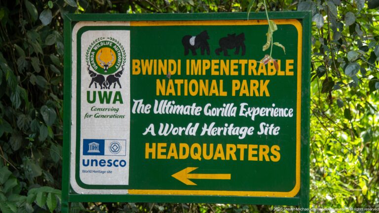 Green Uganda Wildlife Authority sign for Bwindi Impenetrable National Park headquarters with gorilla silhouettes, UNESCO emblem and left-pointing arrow.