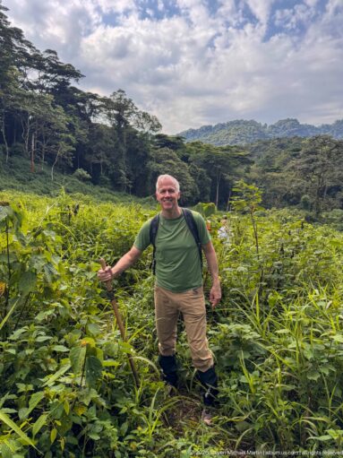Trekker with walking stick standing in tall vegetation before layered, forested hills beneath a partly cloudy sky.
