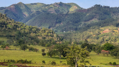 Open green valley with scattered trees beneath steep, partly forested and cultivated mountain slopes.