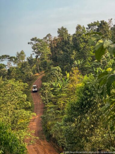 White vehicle traveling along a red-earth road through dense green crops and scattered highland trees.