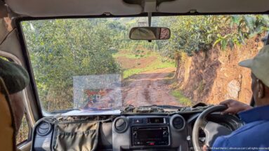 View through a vehicle windshield along a narrow unpaved mountain road cut into a steep cultivated hillside.