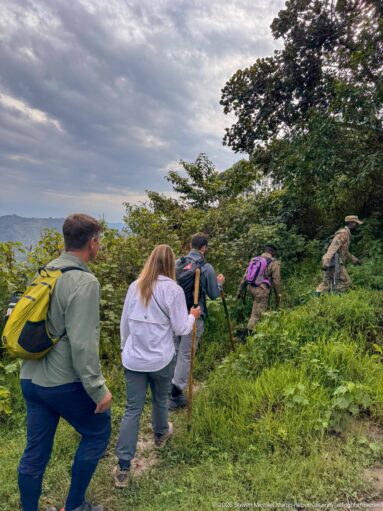 Several trekkers with daypacks and walking sticks climbing a narrow green hillside path toward thicker forest.