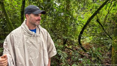 Man in a pale rain poncho and cap stands amid dense vines, branches, ferns, and green rainforest foliage.